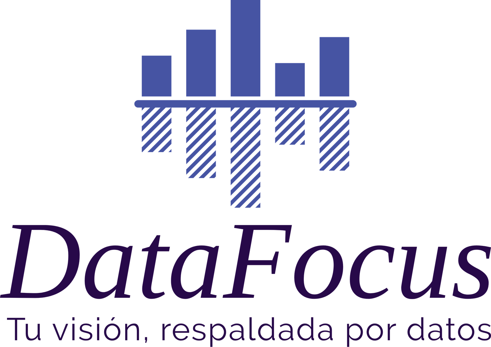 Logo DataFocus
